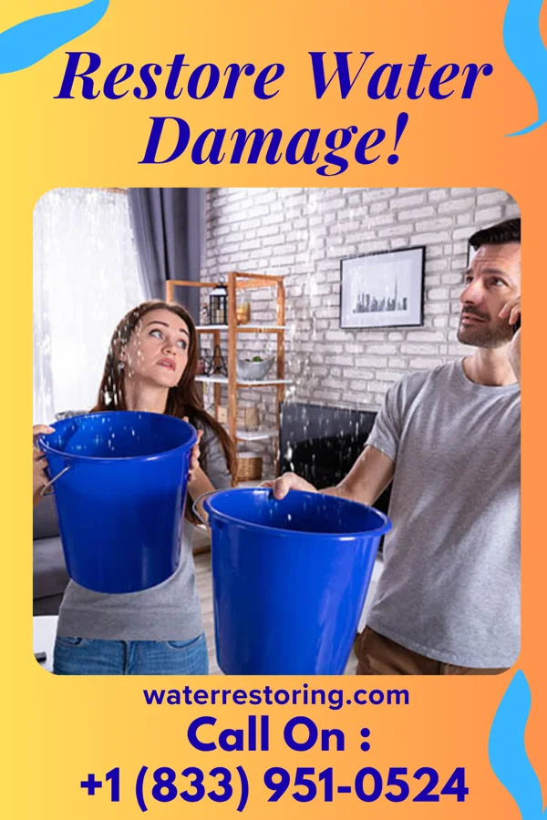 water restoration Damage Recovery LLC Basalt